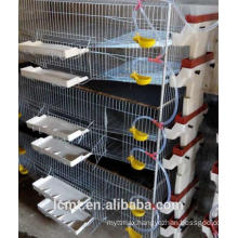 H type vertical mesh wire quail cages liaocheng breeding cage factory